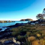 Pelham Bay Park