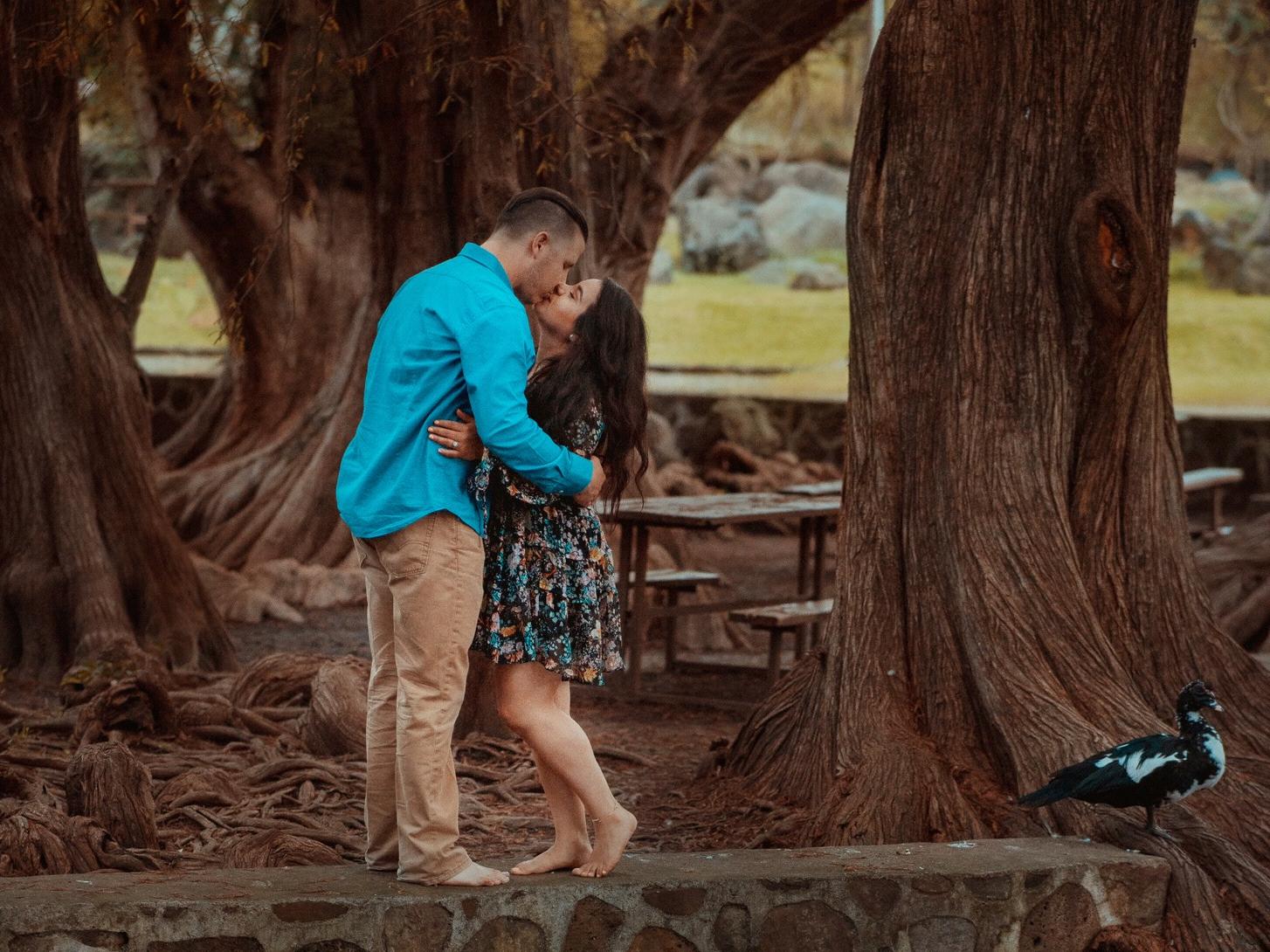 The Wedding Website of Abigail Cacho and Dillon Hancock
