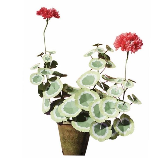 Mini Hand Painted Geranium Plant