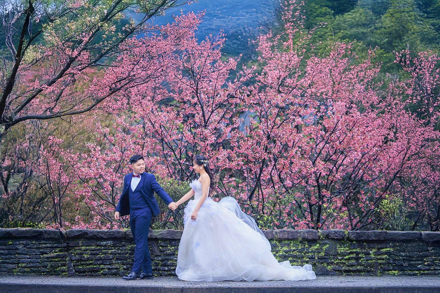 The Wedding Website of Clementia Lee and Bryan Goh