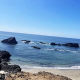 Newport