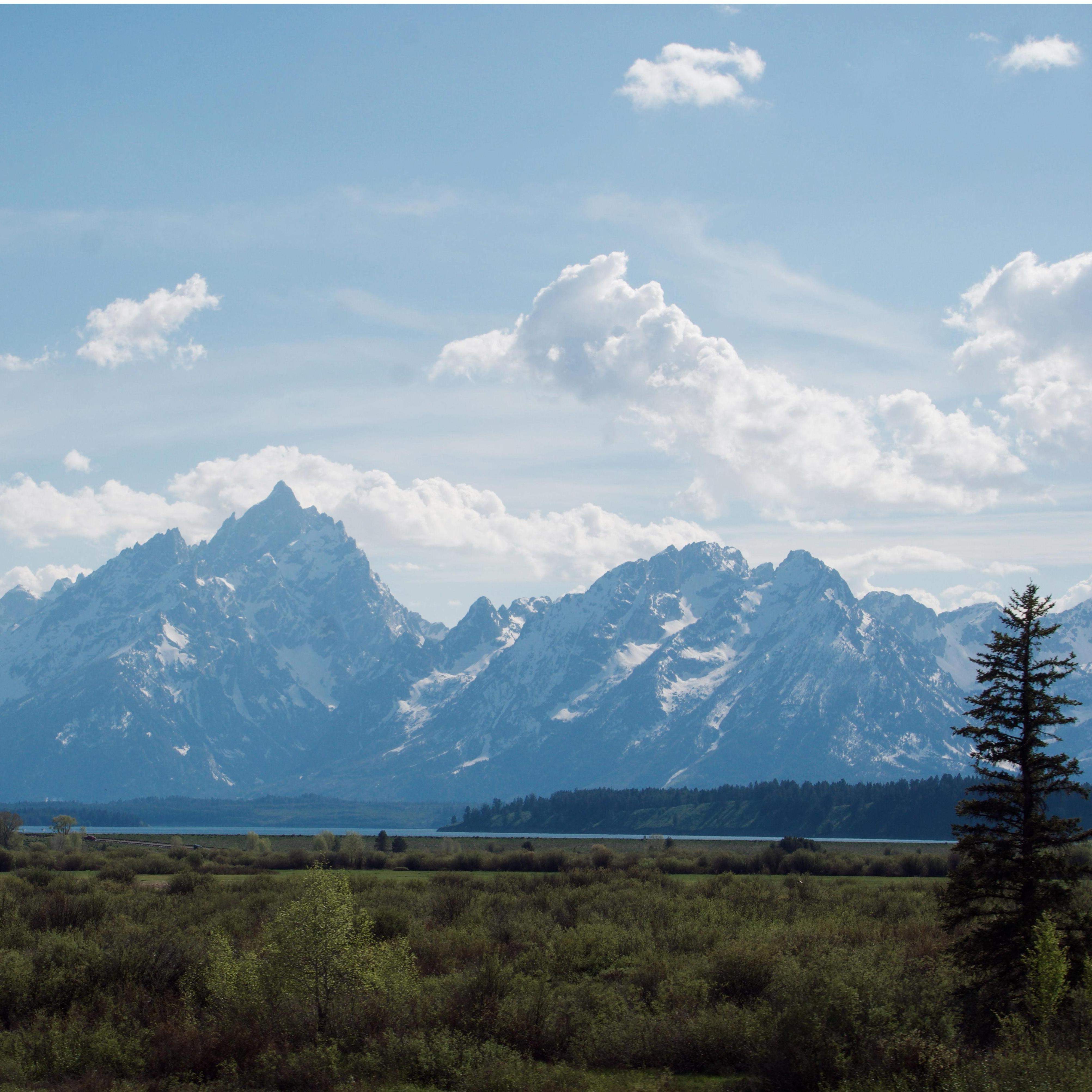 Spring time in the Tetons!