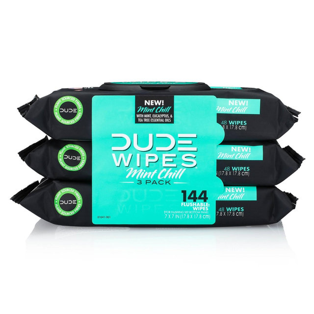 DUDE Wipes Mint Chill Flushable Wipes - 3pk/48ct