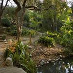 UCLA Mildred E. Mathias Botanical Garden
