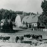 Maytag Dairy Farms
