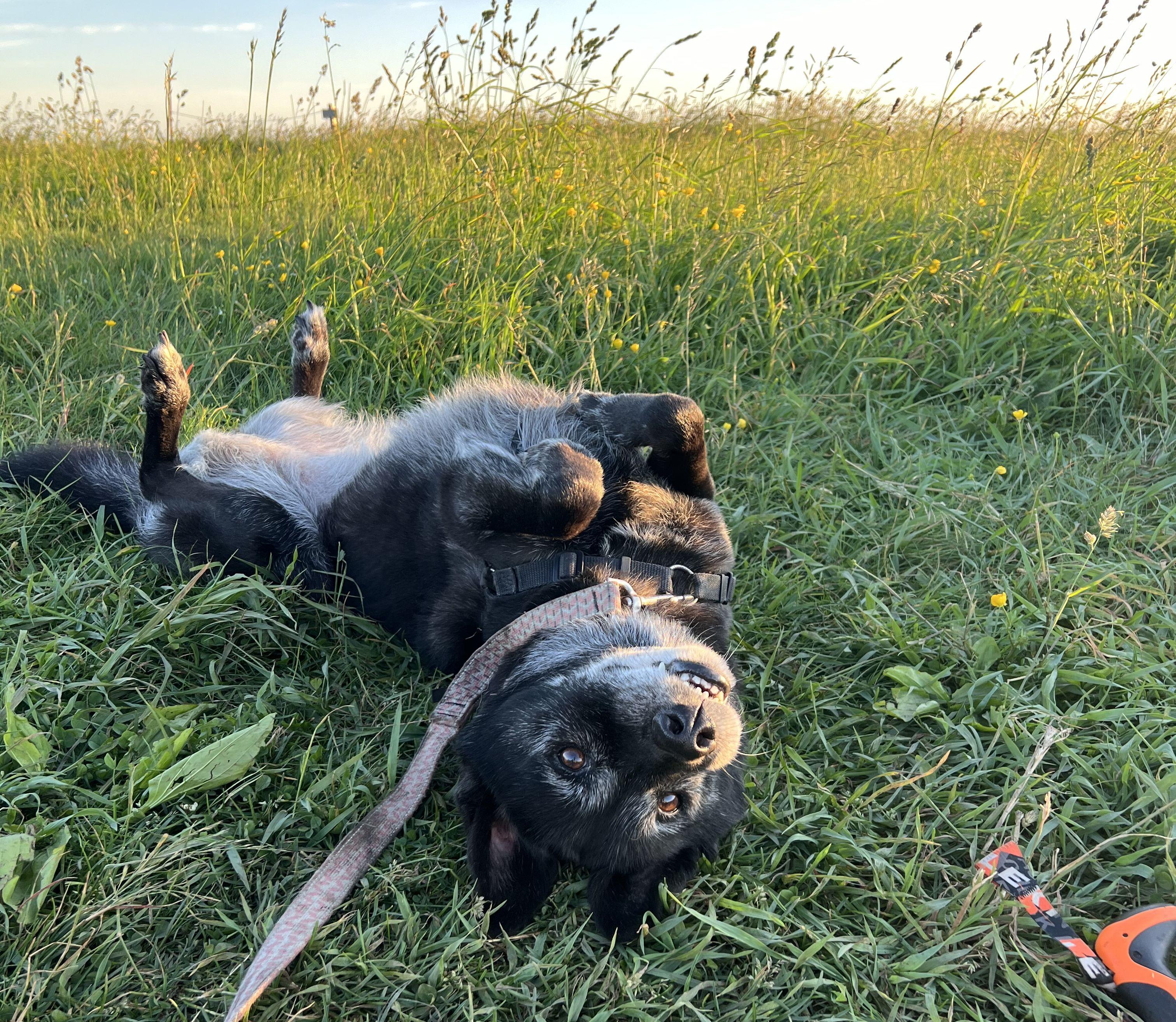 The Wedding Website of Marie Fogle and Blake Adkins