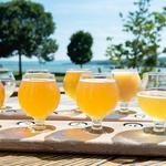 Young Lion Brewing Company