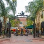 Music/Eats - *Cafe Beignet