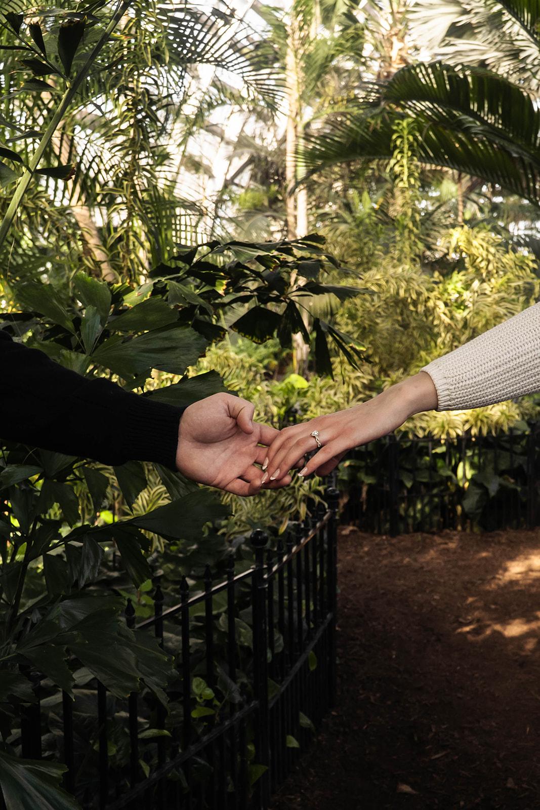 The Wedding Website of Amy Olson and Kalvin Frelich