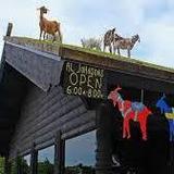 Al Johnson’s Swedish Restaurant & Butik