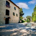 Buena Vista Winery