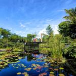 Naples Botanical Garden