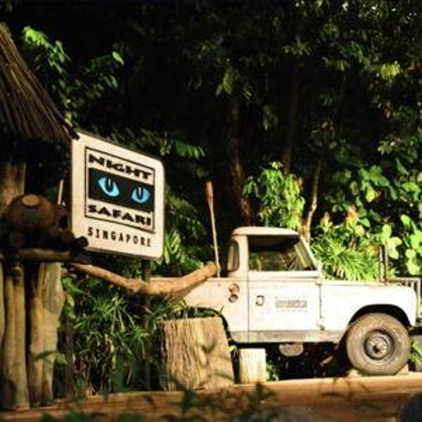 Night Safari at Singapore Zoo