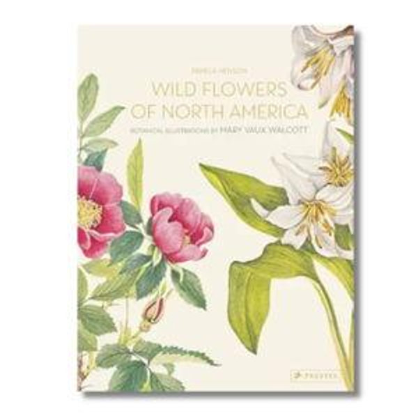 Wild Flowers of North America: Botanical Illustrations