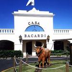 Bacardi Tour