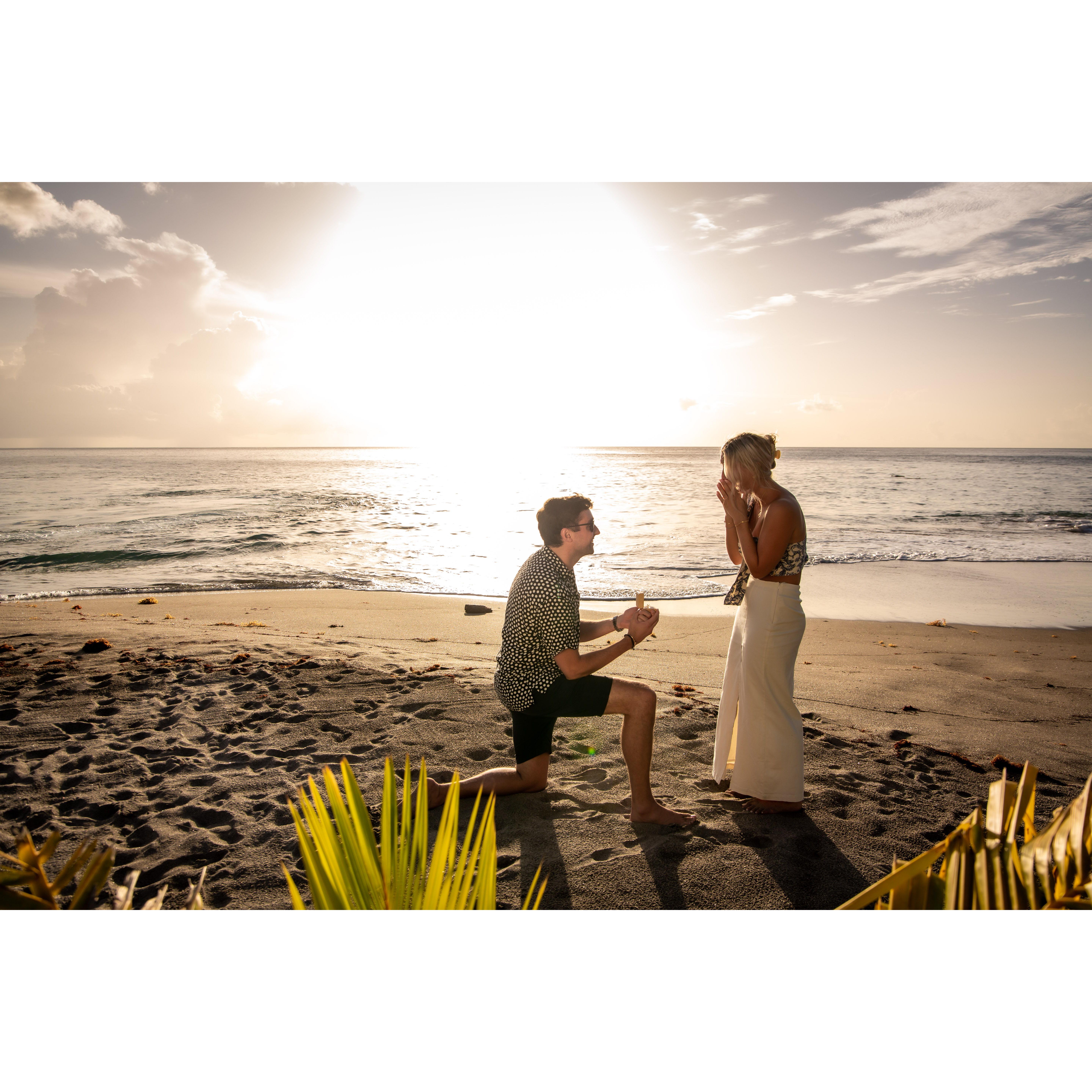 Our first night in St Lucia, Will got down on one knee and asked Nikki if she'd be his forever love. Of course she said YES ! 