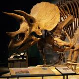 Science Museum of Minnesota