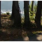 Piedmont Medical Center Trail