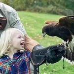 The Falconry Experience
