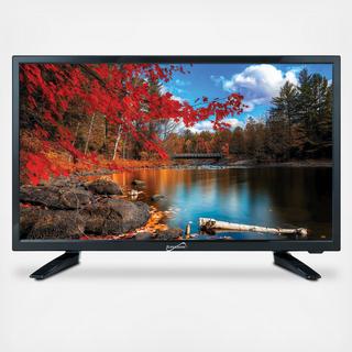 19" LED Widescreen HD TV