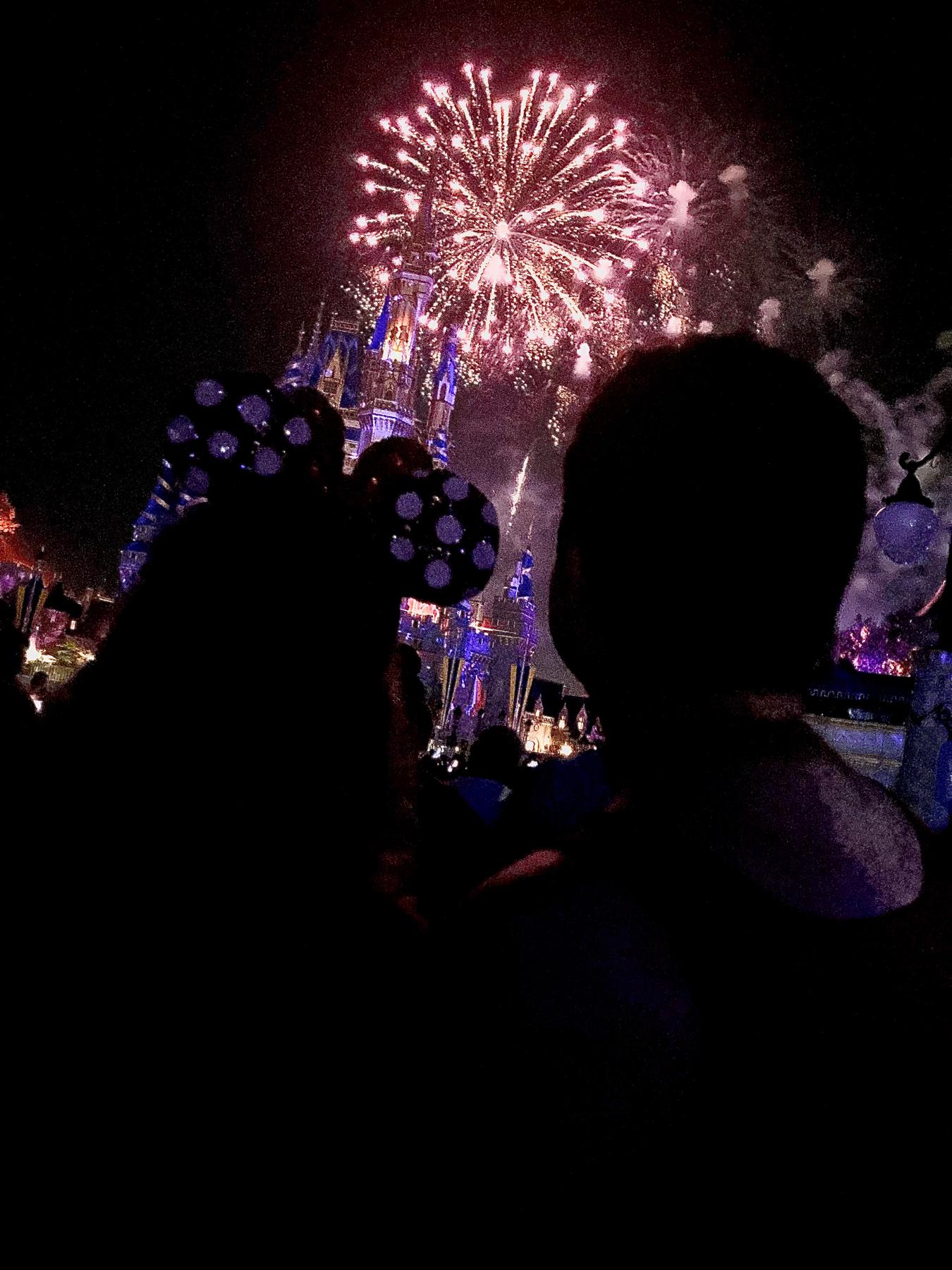 First vacation together! We figured out later that we both realized we wanted to marry each other during these fireworks. 🎆🎇