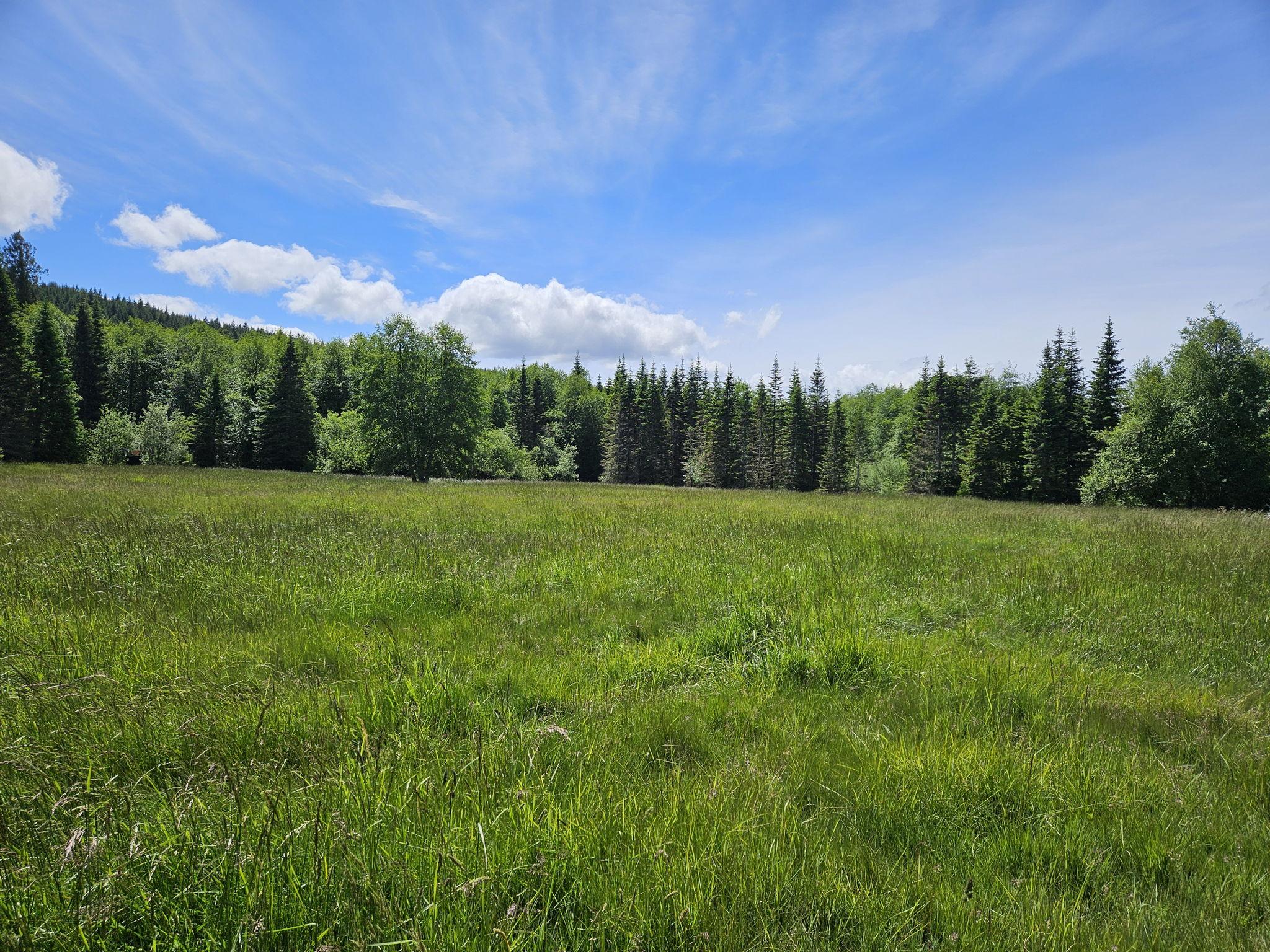 The Wedding Website of Kathleen Buchmeier and Benjamin Talmage