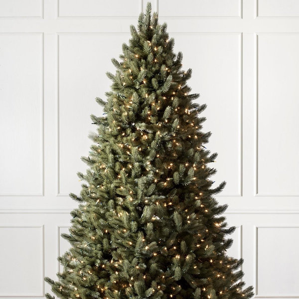 Vermont White Spruce® Trees