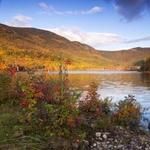 Fall Foliage Tour