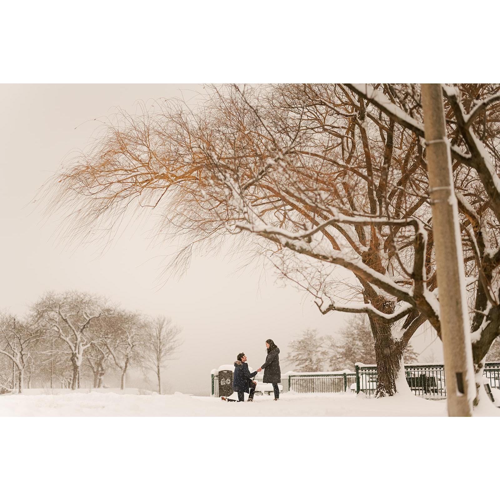 Snowy engagement photos in front of a willow tree on the Esplanade!