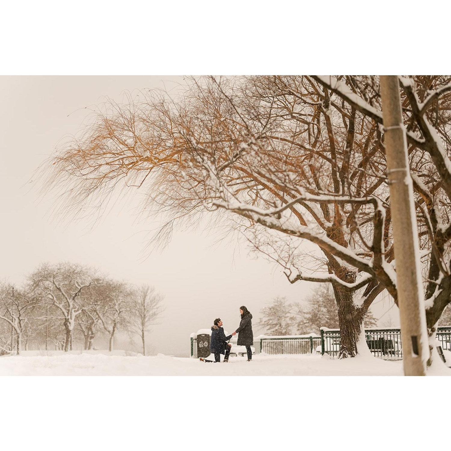 Snowy engagement photos in front of a willow tree on the Esplanade!