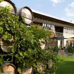 Stone's Throw Winery
