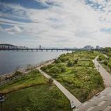Jamsil Hangang Park