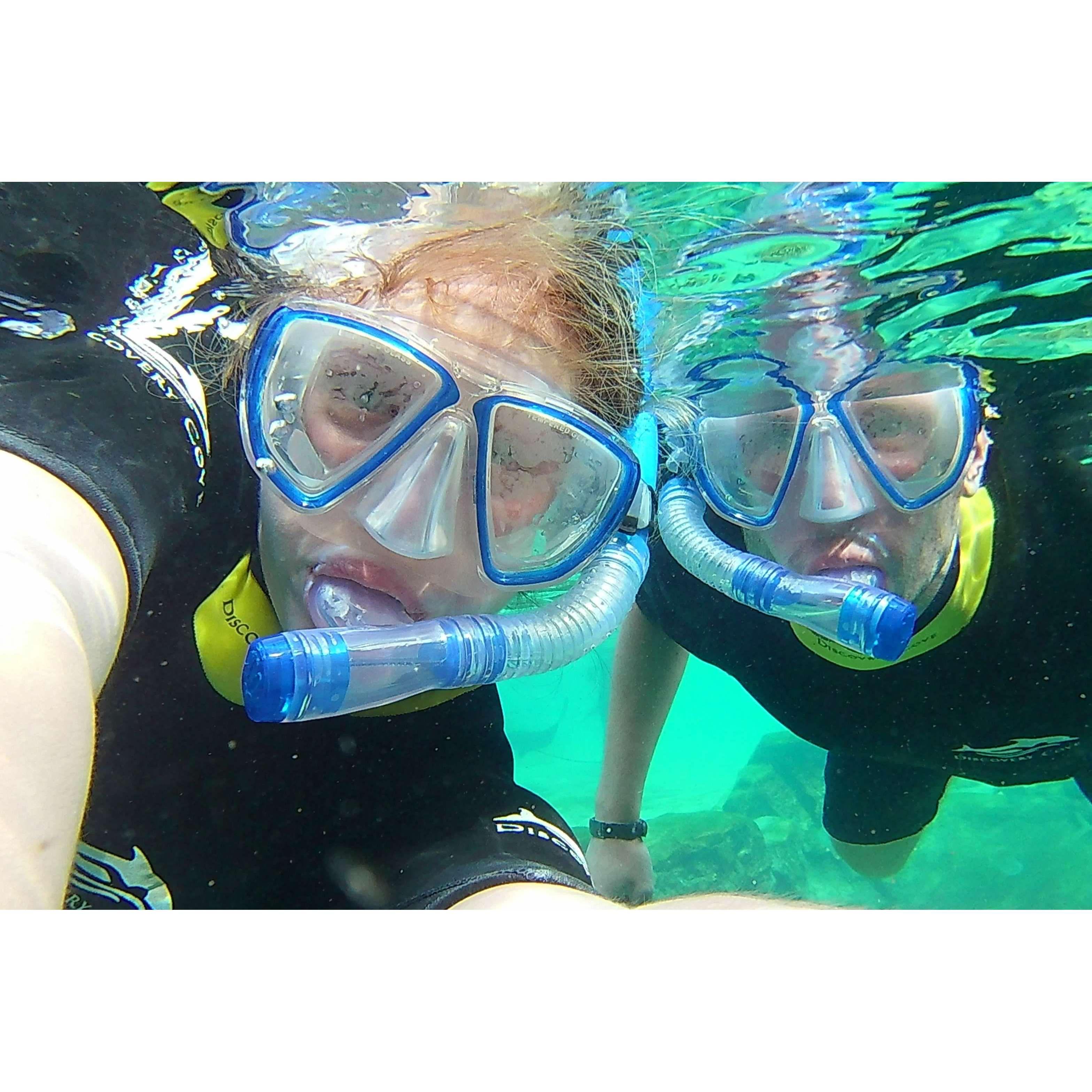 Snorkeling at Discovery Cove (Orlando)- 2021