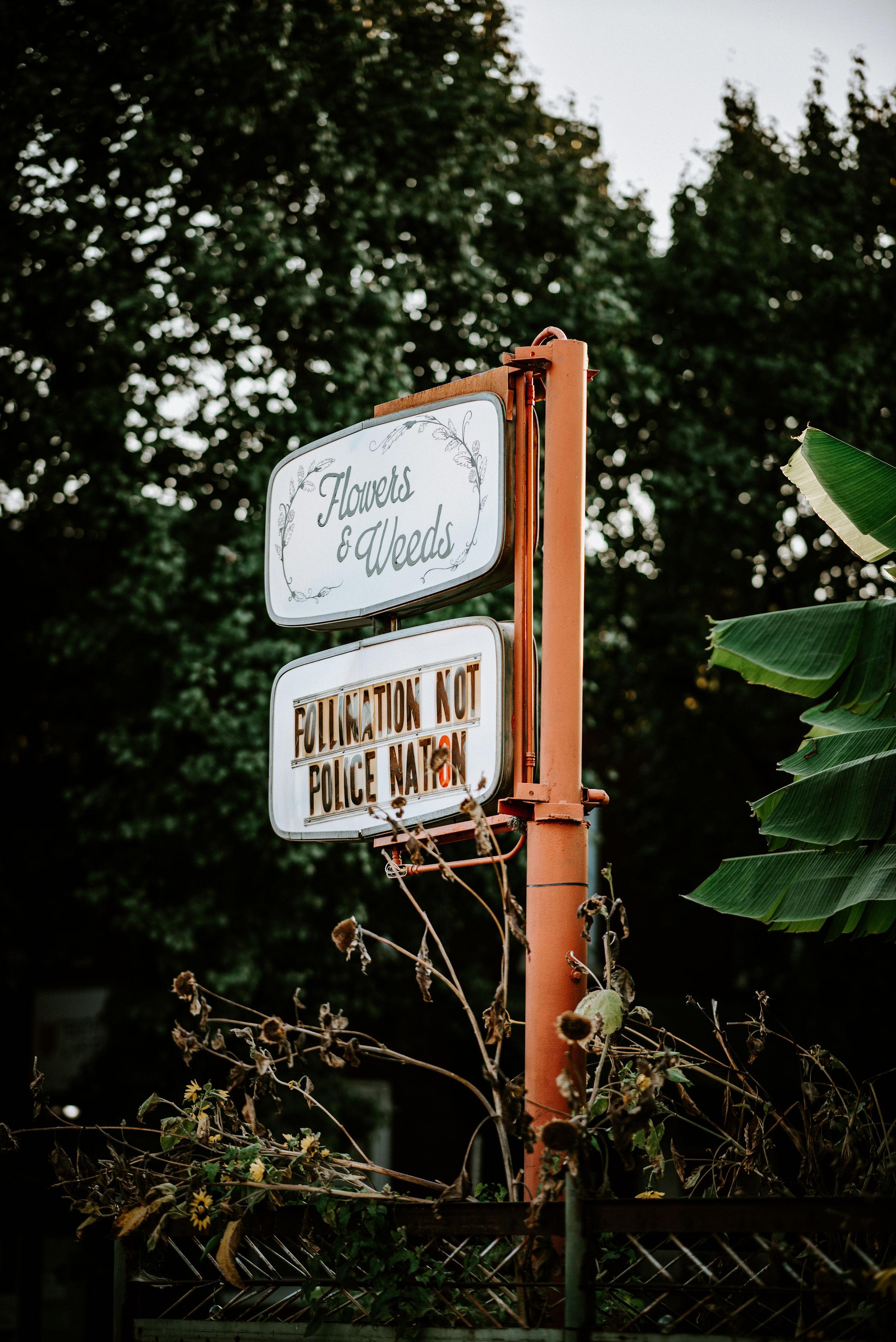 The Wedding Website of Hannah Black and Tim Gaasch