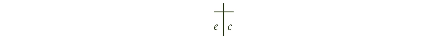 The Wedding Website of Erika Wurm and Corey Knight