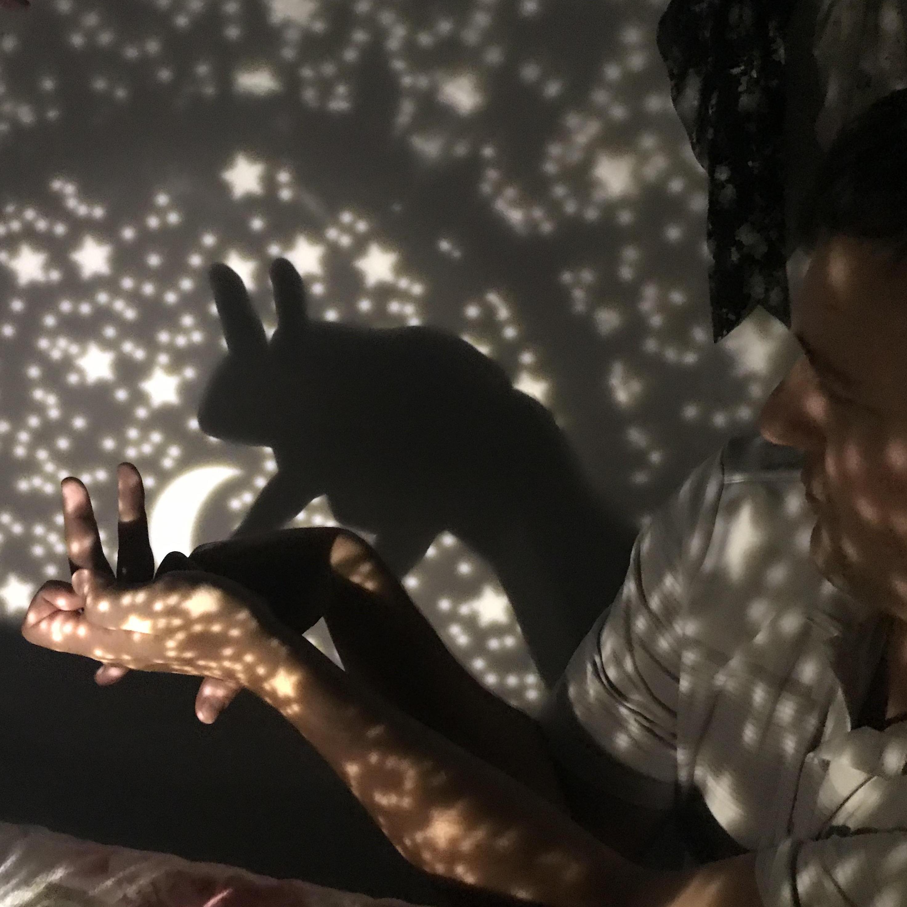 Shadow Puppets