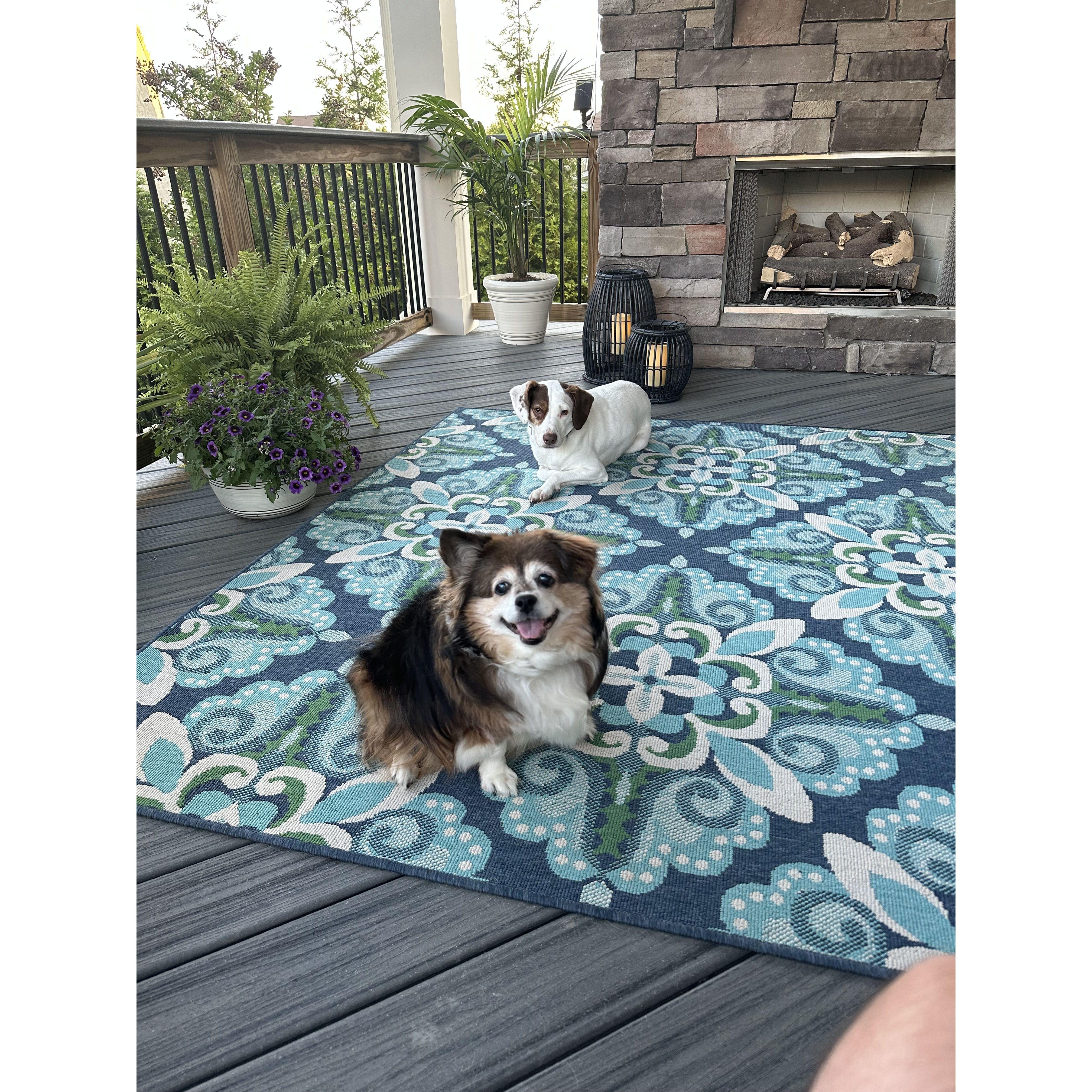 Polly & June enjoying their new outdoor digs!