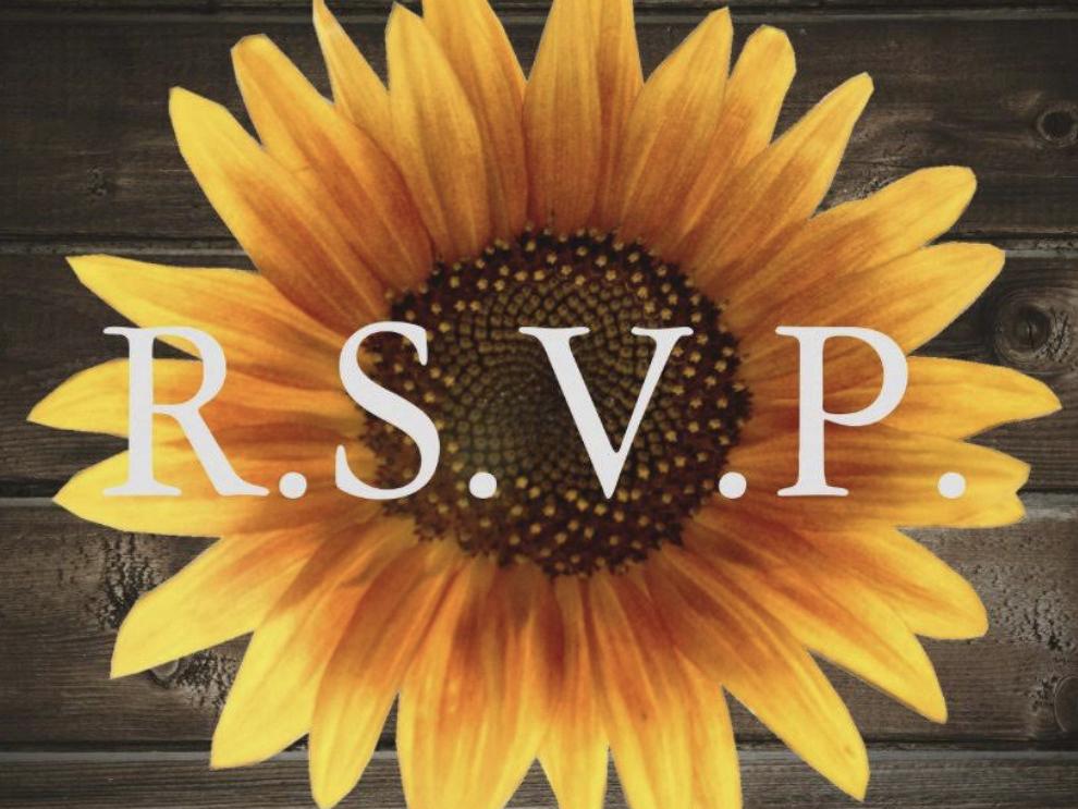 The Wedding Website of Rachel Provenzano and Jonathan Patin