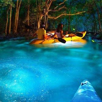 Bioluminescence Kayaking