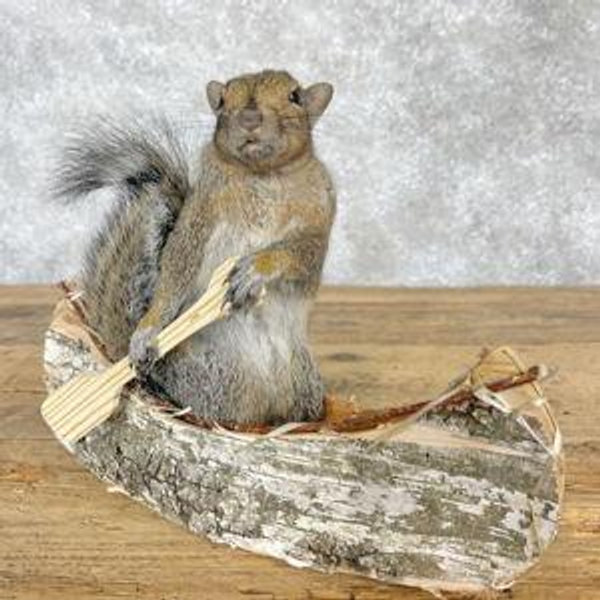 Taxidermy fund