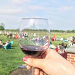 Working Dog Winery