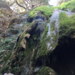 Rose Valley Falls Hike