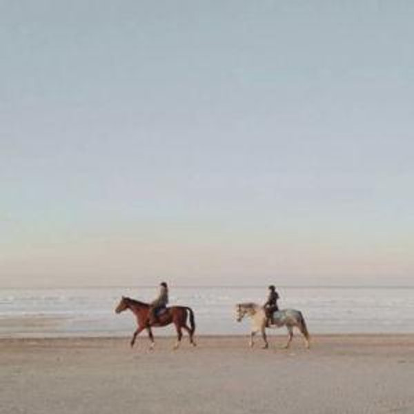 Horseback Riding on Our Honeymoon