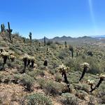 Desert Hills Trailhead