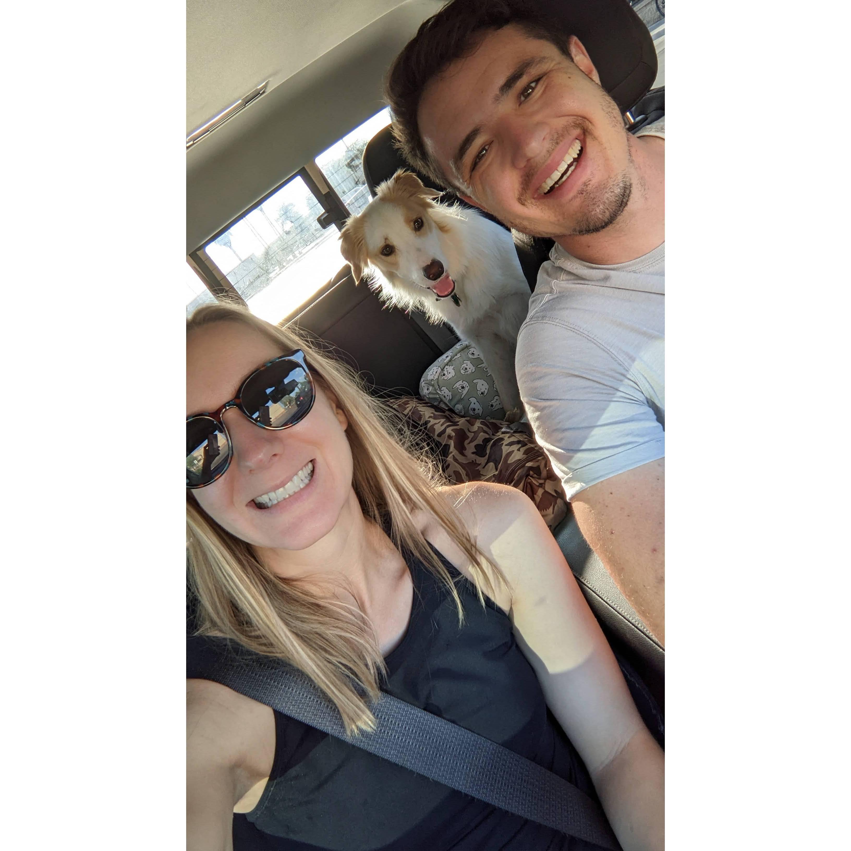 Road trip w Lady Pup!