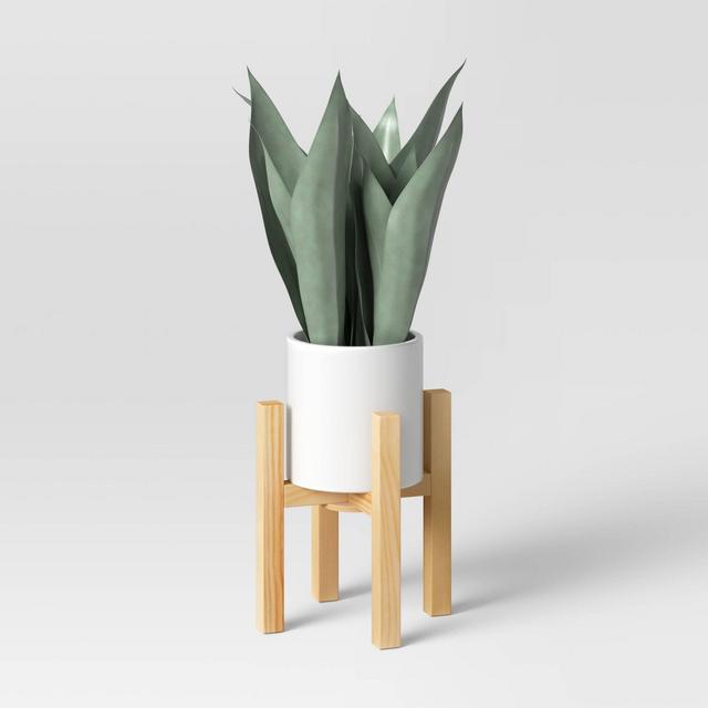 Small Snake Plant in Plant Stand - Threshold™
