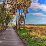 Myakka River State Park