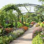 Cheekwood