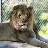 Henry Vilas Zoo