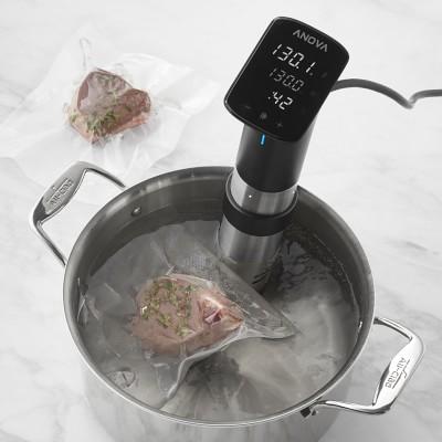 Anova Precision Pro Sous Vide Cooker